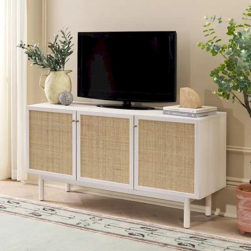 Madia/Mobile TV a 3 ante - 54Lx19Px30A