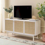 Madia/Mobile TV a 3 ante - 54Lx19Px30A